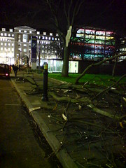 Broken tree, Finsbury Square, London