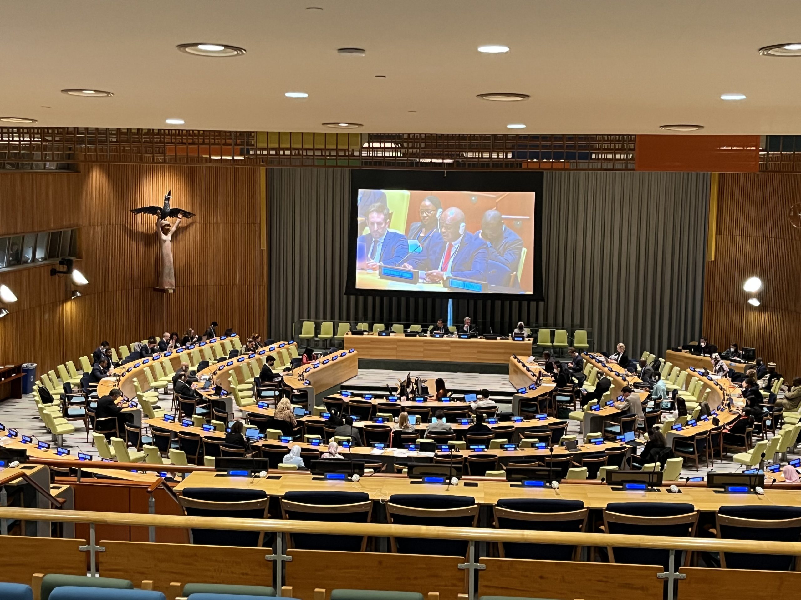 UN Trusteeship Council in session