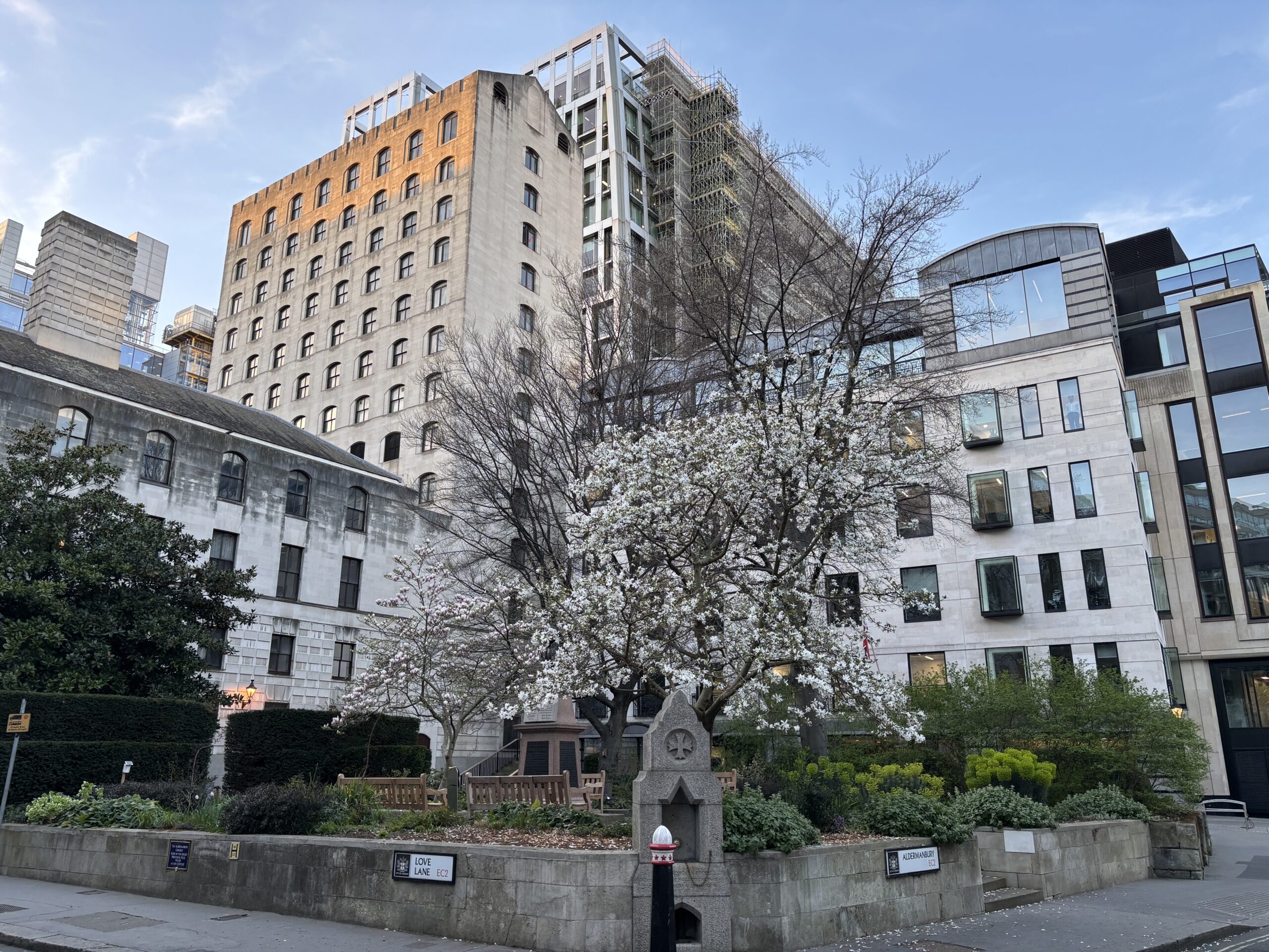 Beautiful blossom everywhere, and for once there’s no wind to rip it from the branches as soon as it appears