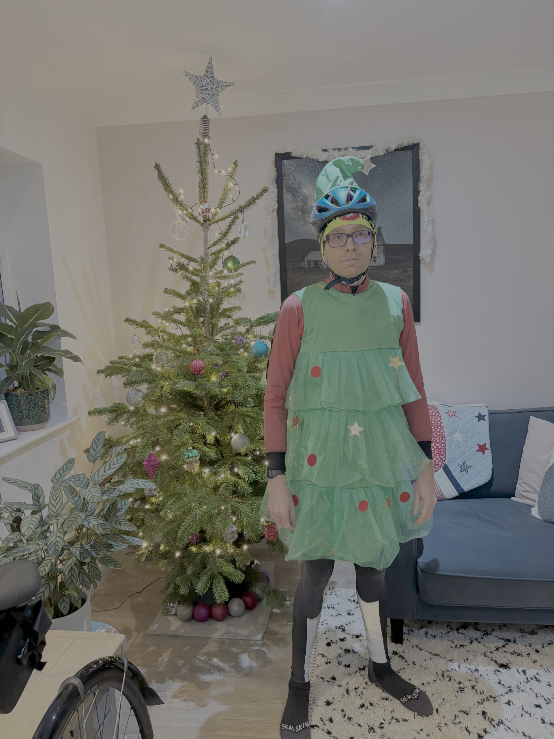 “Are you happy to be in that Christmas tree dress? You might want to let your face know.”