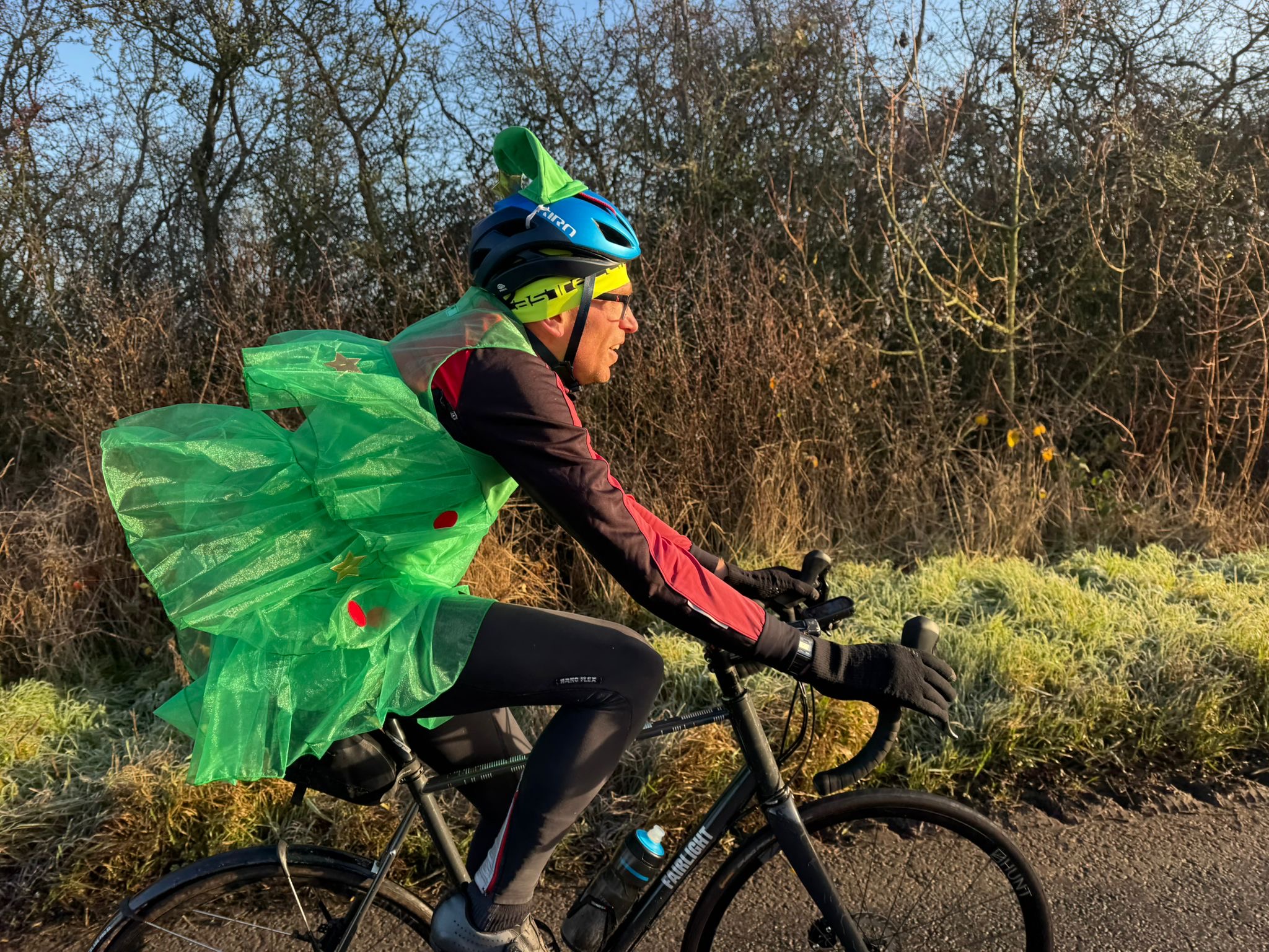 Christmas tree in full flight. (Photo: Ian Biller)